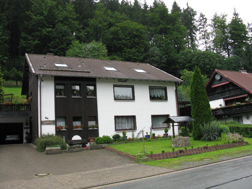 Ferienwohnung Gohlke Kamschlacken Номер фото